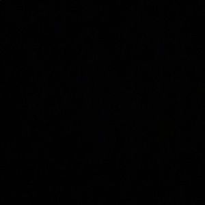 Meet your Posher, Trace